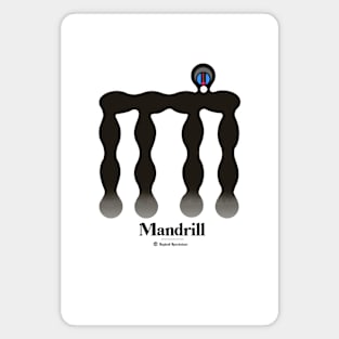 Bold monkey print "Mandrill" Magnet